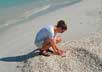 Shelling on Ocracoke Island